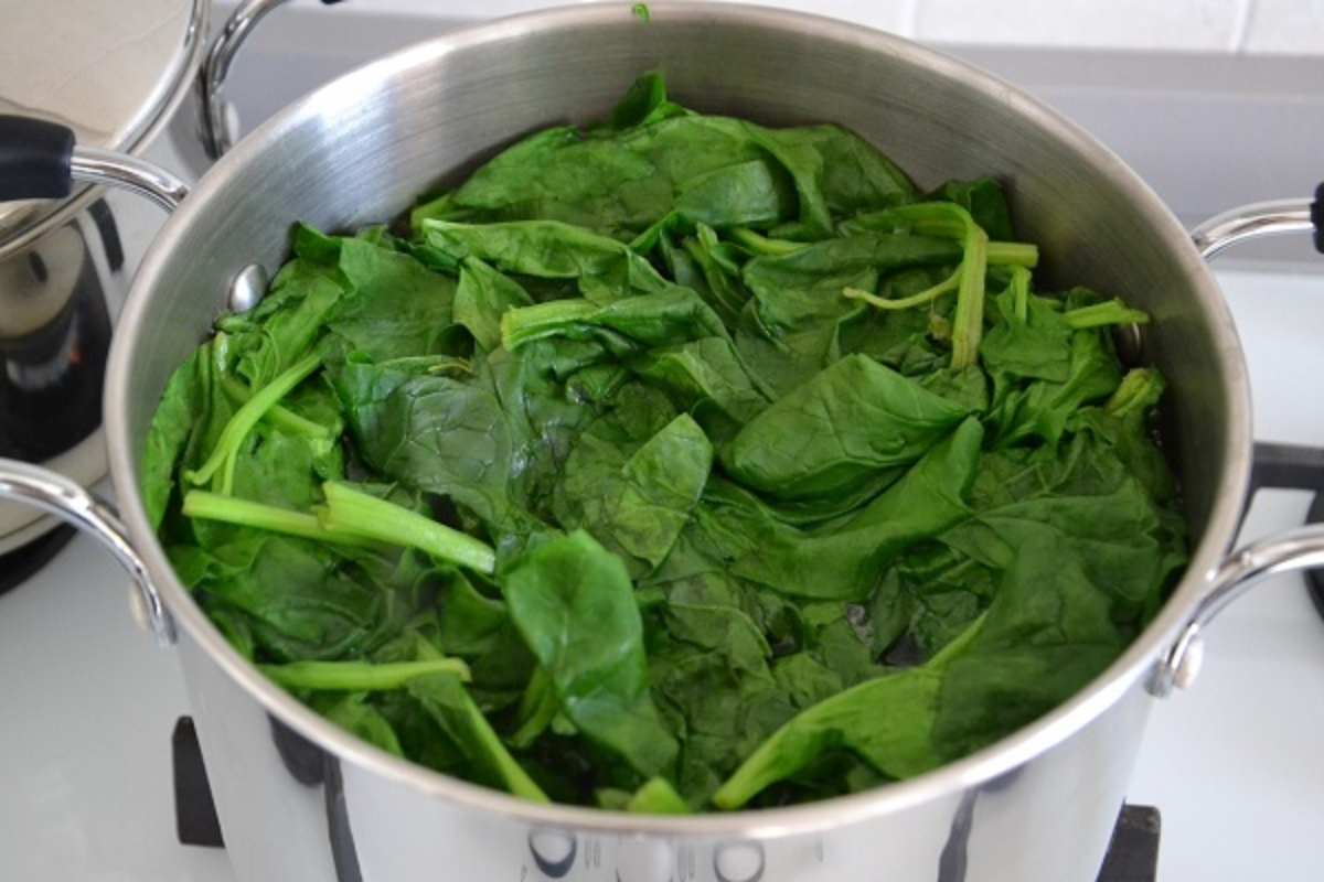 preparazione degli gnudi toscani